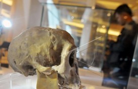 Temuan Fosil Manusia Purba di Brebes Bisa Ubah Sejarah