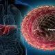 Kasus Hepatitis A di Pacitan, Menkes Imbau Warga Jaga Kebersihan