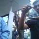 Proyektil Peluru Gotri Ditemukan di Lokasi Penembakan Pos Polisi di Kulonprogo