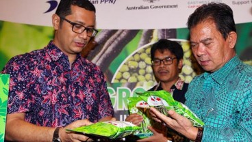 Konsumsi Sayur Rendah, Produksi Benih Ewindo Terkoreksi Tipis