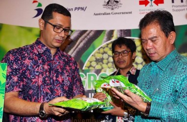 Konsumsi Sayur Rendah, Produksi Benih Ewindo Terkoreksi Tipis