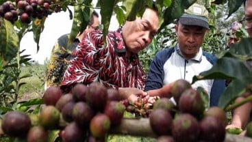 BI Malang Dorong Kopi Daerah Tembus Ekspor