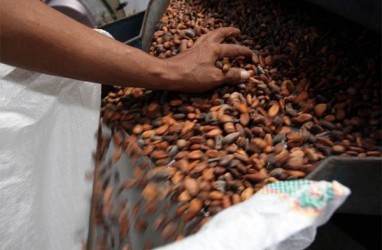 Harga Dasar Ekspor Kakao Pantai Gading dan Ghana Ditolak Produsen Cokelat