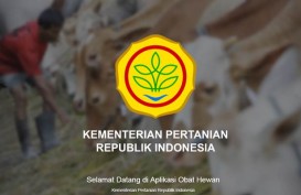 Rekomendasi Ekspor Sektor Peternakan, 5 Tahun Terakhir Capai Rp32,9 Triliun