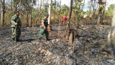 Gara-Gara Bakaran Sampah, Hutan Gunung Belik Lesung di Bulu Sukoharjo Hangus