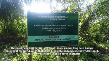 PTPN V Kembalihan 2.800 Ha Lahan ke Negara