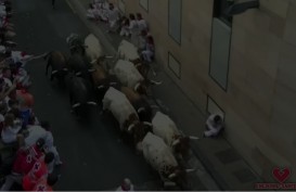 Festival San Fermin di Spanyol, Tiga orang Tertanduk Banteng 