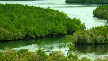 Menteri LHK: Luas Lahan Kritis Mangrove Turun Jadi 1,19 Ha