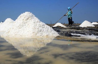 Harga Terjun Bebas, Petambak Garam Minta Pemerintah Bertindak