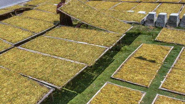 Rencana Simplifikasi Layer CHT Kembali Bergulir
