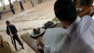 Jokowi Ingin Wisatawan Pulau Komodo Dibatasi dan Bayarnya Mahal