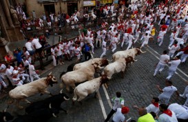 Hari Kelima Festival Lari Banteng San Fermin, 7 Peserta Terluka