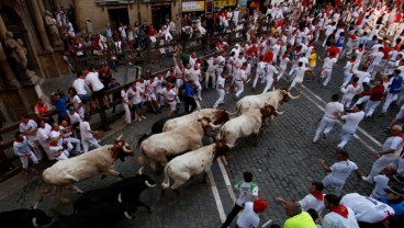 Hari Kelima Festival Lari Banteng San Fermin, 7 Peserta Terluka