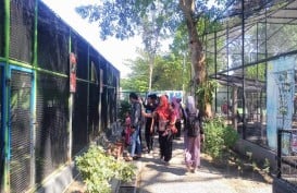 Umbul Square Jadi Destinasi Liburan Sekolah