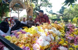Beautiful Malino, Pengunjung Bakal Disambut Ribuan Bunga