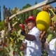 Kembangkan Florikultura, Petrokimia Gresik Perbesar Pasar Pupuk Non Subsidi