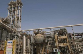 Industri Petrokimia Dikembangkan di Teluk Bintuni, Papua Barat