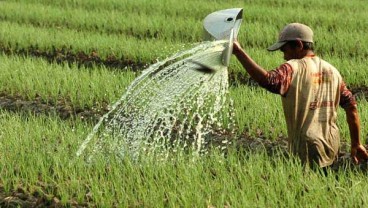 Perpaduan Budi Daya Bawang Merah dan Lele Untungkan Petani