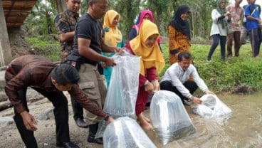 Indramayu Tebar 802 Ribu Ekor Bibit Ikan di Perairan Umum