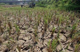 Distan Sukabumi Pasang Pompa Air untuk Persawahan