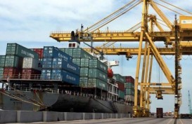 Crane Pelabuhan Tanjung Emas Roboh : Bongkar Muat Dipindah ke Dermaga Samudera