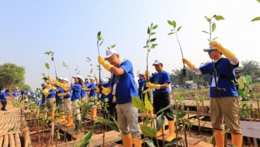 Pemprov DKI Jakarta Gencar Aksi Tanam Mangrove