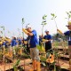 Pemprov DKI Jakarta Gencar Aksi Tanam Mangrove