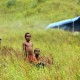 Beras, Rokok Kretek dan Tongkol Bebani Penduduk Miskin Papua