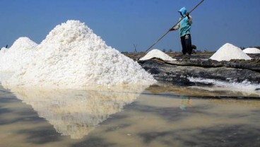 Tingkatkan Pasokan Dalam Negeri, Pabrik Garam Industri Disiapkan