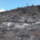 Gunung di Kawasan Wisata Raja Ampat Terbakar