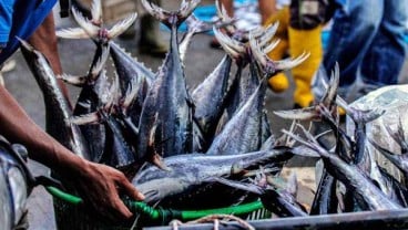 Pelelangan Ikan Online Pertama di Indonesia Diresmikan