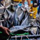 Pelelangan Ikan Online Pertama di Indonesia Diresmikan