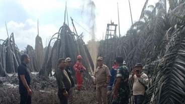 Musi Banyuasin Minta SKK Migas Tanggap Darurat Semburan Lumpur Kaliberau