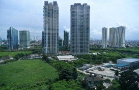 Asyik, Populasi Betet Terpantau di 6 Ruang Terbuka Hijau Jakarta