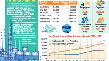 Mubadala Investasi Rp35 Triliun Lewat Chandra Asri