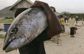 Dinas Pangan Gorontalo Dorong Konsumsi Ikan Lokal