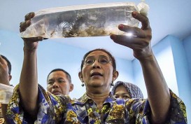 Indonesia Dorong Partisipasi Negara Dunia Tangani Illegal Fishing