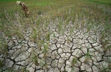 DAMPAK KEKERINGAN : BPBD Banyumas Salurkan 890.000 Liter Air Bersih