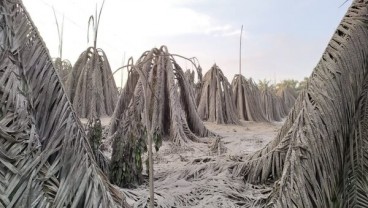 Pemkab Muba Tutup Semburan Lumpur di Kaliberau