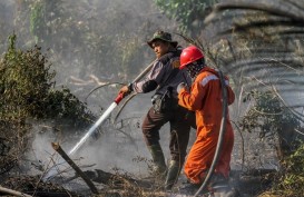 Kebakaran Gunung Panderman: Luas Areal Terbakar Mencapai 60 Ha