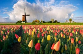 Orange Tulip Scholarship, 30 Orang Berangkat ke Belanda