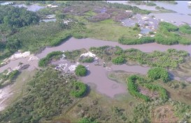 Geopark Tebat Rasau Terancam Punah oleh Penambangan Timah