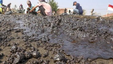 Warga Pembersih Tumpahan Minyak di Pantai Karawang Diberi Upah