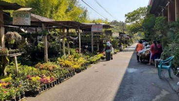 Pedagang Pasar Bunga Madiun Enggah Direlokasi, Takut Rugi