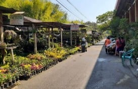 Pedagang Pasar Bunga Madiun Enggah Direlokasi, Takut Rugi