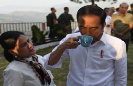Jokowi  Cabut Izin Perusahaan yang Cemari Danau Toba