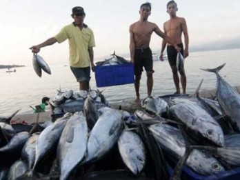 Jepang Bantu Pengolahan Gurita Perikanan Nusantara Makassar