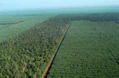 Transfer Fiskal Ekologis Diperlukan untuk Jaga Tutupan Lahan Hutan