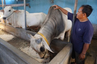 Pasar Jaya Sediakan 20.000 Besek Bambu untuk Daging Kurban