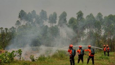 KLHK Terus Upayakan Pengendalian Karhutla